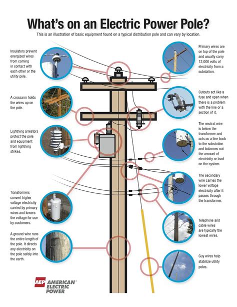 powerpole distribution box|power pole splitter diagram.